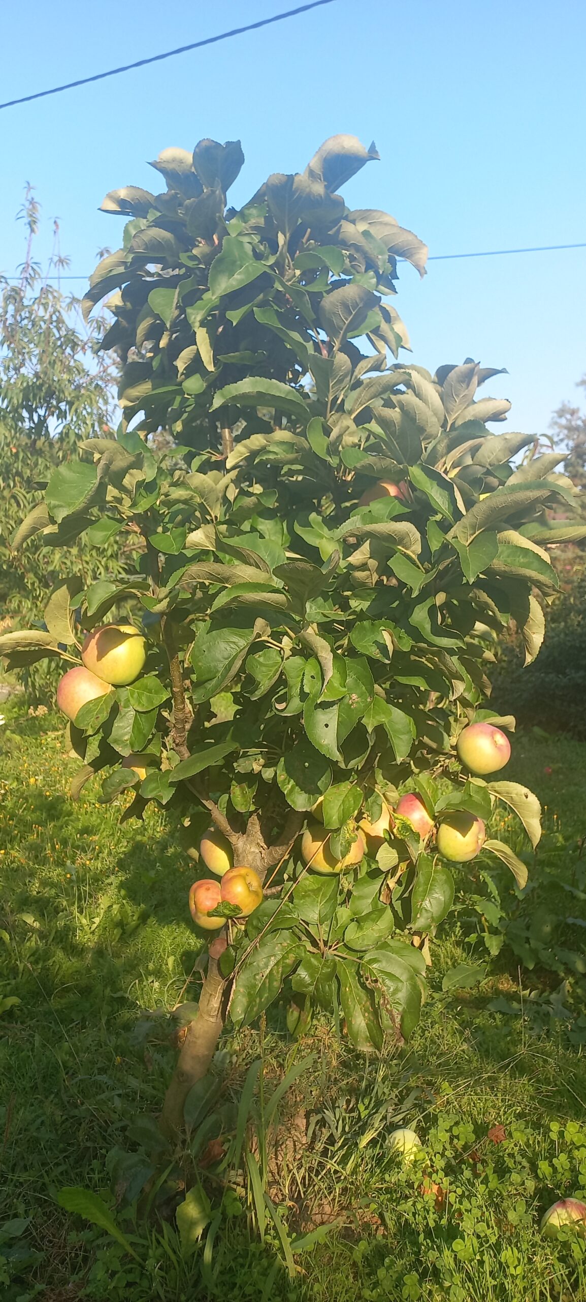 20210904 162222 1 Scaled