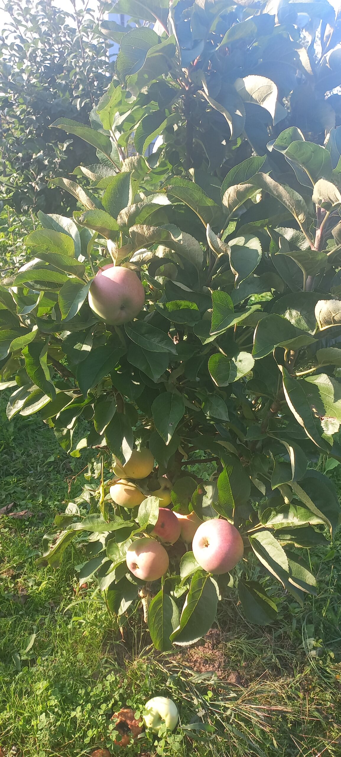 20210904 162231 Scaled